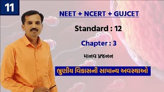 STAGES OF EMBRYONIC DEVELOPMENT for NEET in gujarati std 12 ch 3 part 11 [upl. by Eek211]