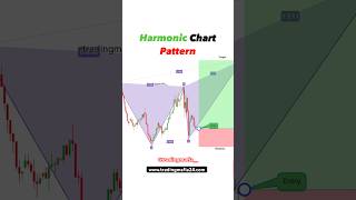 Harmonic Chart Pattern  forex trading for beginners  crypto  option trading shorts tradingmafia [upl. by Aissyla]