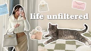 Life unfiltered  kitten updates🐱 amp my entire luxury handbag collection [upl. by Thill]