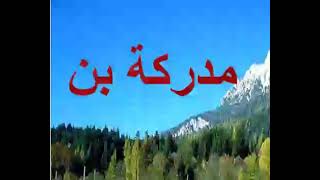 shajar e nisab صَلَّى اللّٰه عَلَيْهِ وَاٰلِہٖ وَسَلَّمَ [upl. by Soulier]