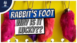 Why is a RABBITS FOOT Lucky shorts [upl. by Namad]