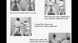 Tonfa Training Part 2 [upl. by Bautista]