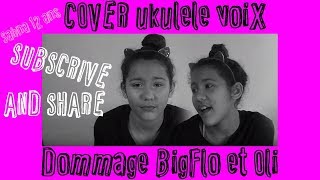 Bigflo et Oli  Dommage  COVER 2018 [upl. by Nallac690]