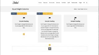Equal Height Columns  Total WordPress theme [upl. by Nnaeerb]