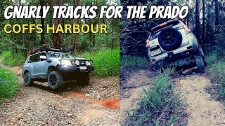 Ultimate Camping and 4WD Adventure Gnarly Tracks at Coffs Harbour [upl. by Nnywg]