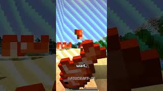 Minecraft but if I TAKE DAMAGE the BORDER EXPANDS ⛏️ shorts [upl. by Nereids]