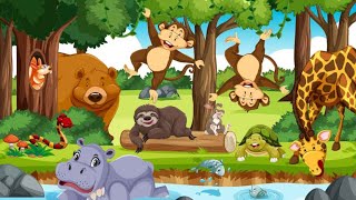 Jungle Ki Sher  cartoon video  cartoon [upl. by Nyrb568]