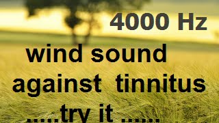 One hour wind at 4000 Hz as sound therapy for tinnitus [upl. by Joerg366]