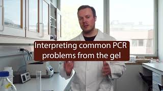 Episode 17  quotInterpreting Common PCR Problems from the Gelquot [upl. by Namar]