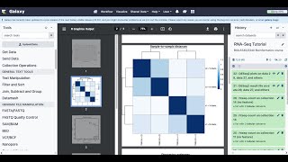 RNA Seq Tutorial [upl. by Burgwell]