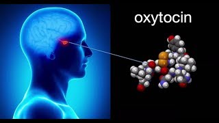 Healing From PTSD Oxytocin [upl. by Meri]