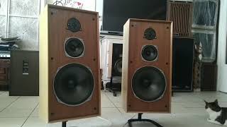 Celestion Rola Ditton 44 vintage system speakers from 77 Belgium tube amplifier 4xEl34 from 68 [upl. by Yllil]