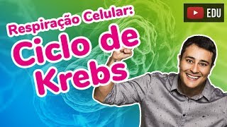 Respiração Celular  Parte 2  Ciclo de Krebs  Prof Paulo Jubilut [upl. by Uticas]