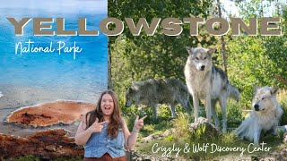 Yellowstone National Park Travel Vlog  Geysers Wildlife amp KOA cabin tour [upl. by Sahcnip]