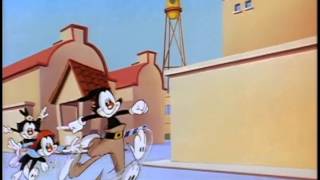 Animaniacs  S01E114 [upl. by Pier]