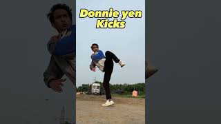 Donnie yen kicks are on fire 🔥🔥 shorts ipman [upl. by Anytsirk]