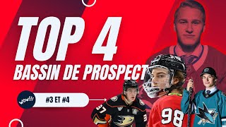 Top 4 des bassins despoirs de la LNH  Partie 1 de 2 [upl. by Baalman]