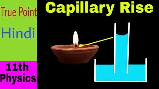 🔴 Capillary Rise  Surface Tension  in Hindi [upl. by Ohcamac310]