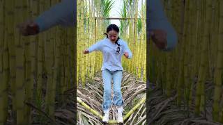 Enjoy with natural sugarcane very fresh with rural farming life reels 2024 shorts top [upl. by Pacorro41]