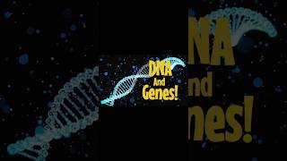 DNA and Genes The Blueprint of Life Explained [upl. by Aninad]