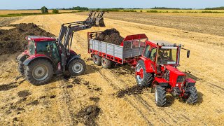 Trágyaszórás 2022  MTZ 82 Turbo  T088  Valtra N124  Spreading Manure [upl. by Ymmor]