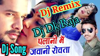 Dj Palani Mein Jawani Rowata HamroRitesh PandeyDj Remix Bhojpuri Song Dj Dk Raja Deewana [upl. by Coonan]