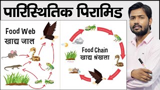 आहार श्रृंखला क्या है तथा पिरामिड  Food Chains in Hindi [upl. by Onil]