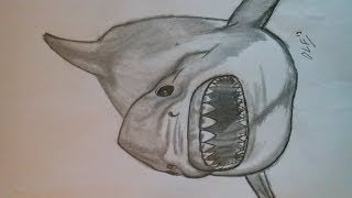 TIBURON MEGALODON COMO DIBUJAR EL MONSTRUO TIBURON MEGALODON PASO A PASO Megalodon Speed Drawing [upl. by Notyard]