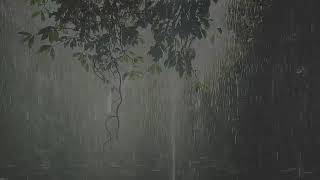 Sonidos de Lluvia y Truenos relajante para dormir 30 minutos [upl. by Drusilla34]