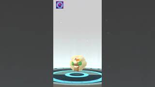 Cottonee evolves into Whimsicott pokemongo pokemon [upl. by Wanonah636]