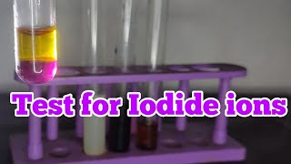 Test for Iodide ions [upl. by Acinemod]