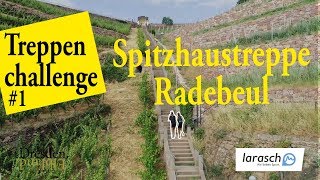 Dresden Elbland  Treppenchallenge  Spitzhaustreppe Radebeul [upl. by Onoitna]