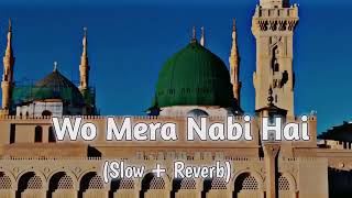 Wo Mera Nabi Hai SlowReverb Naat  Syed Hassan Ullah Hussani  Lofi Naat 2024 [upl. by Meela]