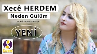 Xecê Herdem  Neden Gülüm Akustik [upl. by Williamson]