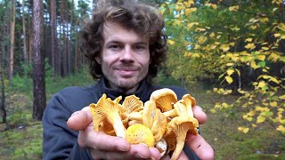 Der Wald im Spätherbst  Eine Naturdoku mit Pilze Sammeln Ende Oktober [upl. by Notreve376]