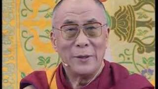 Dalai Lama  purpose of our life [upl. by Verdie935]