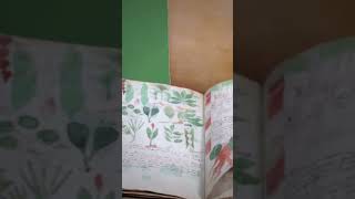 Manuscrito Voynich Misterioso y Raro historia [upl. by Acul]