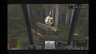 Fs17 Forestry timelaps on granbacken 1 cutting down trees [upl. by Drofxer]