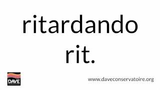 Ritardando  Dave Defines [upl. by Selrhc89]