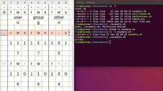 Linux команда chmod  команда изменения прав доступа [upl. by Bonny]