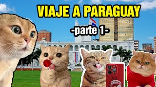 VIAJE A PARAGUAY parte 1 meme de gatos [upl. by Clim972]