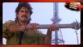 Nagarjuna Most Popular Power Pack Action Scenes  التيلجو أفضل مشاهد العمل [upl. by Acinonrev134]