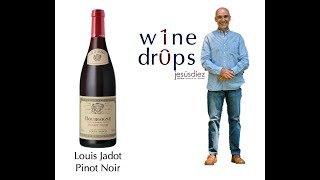 Louis Jadot Pinot Noir [upl. by Liggitt]