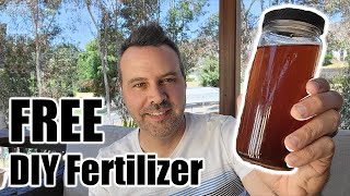 What I Use instead of Miracle Gro plus Free HomeMade Fertilizer [upl. by Ahslek]