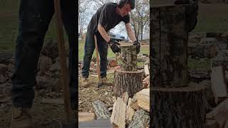 splitting firewood Collins axe hookaroon [upl. by Eissirc]