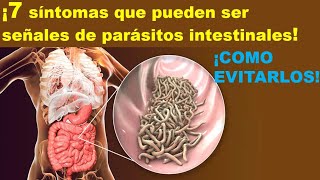 ¿Sientes cansancio constantemente y dolor abdominal 7 Síntomas de paracito intestinal [upl. by Einahpts]