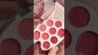 ТГ ЛЕДИ БЬЮТИ Dasique lip amp cheek palette [upl. by Magner]