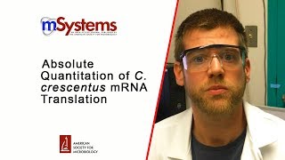 Absolute Quantitation of C crescentus mRNA Translation [upl. by Laris763]