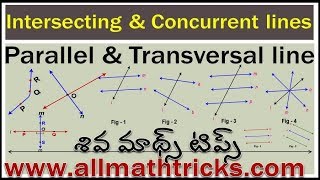 Types of Lines  Intersecting and Concurrent lines in telugu  Parallel Lines and transversal line [upl. by Eesdnil]