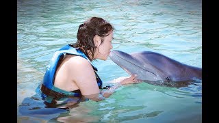 NADO CON DELFINES  XCARET  CANCUN  MEXICO [upl. by Notlem150]